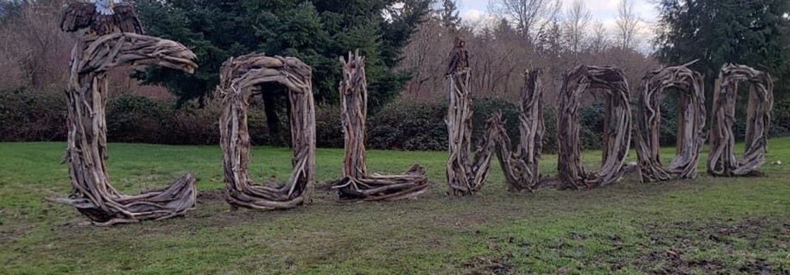 Driftwood sculpture spelling out COLWOOD
